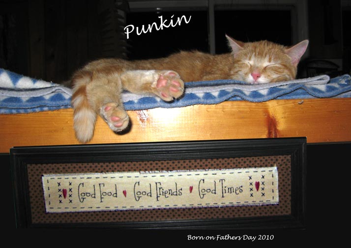 Punkin