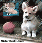 Bobby Jones