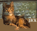 Jack