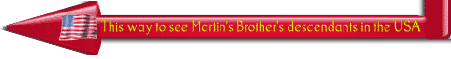Martins Brothers in the USA